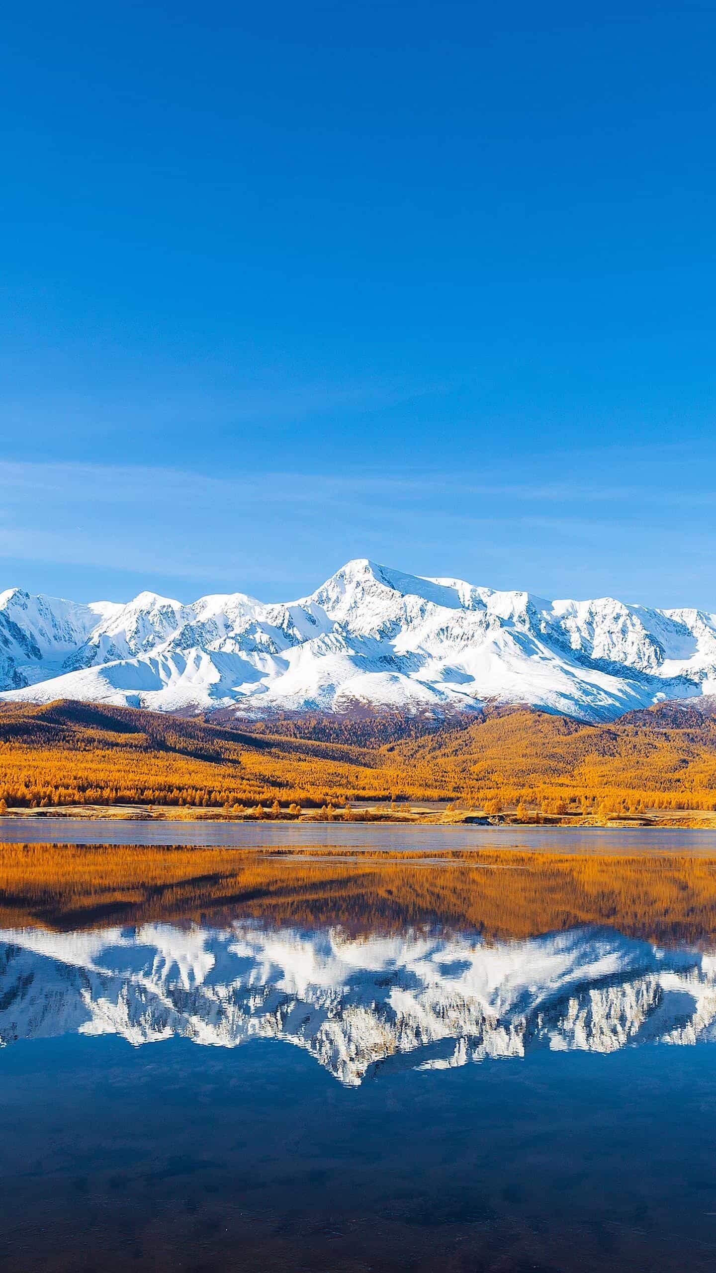 《服务器安全警报:为何你的工作站被数据库“拒之门外”?》